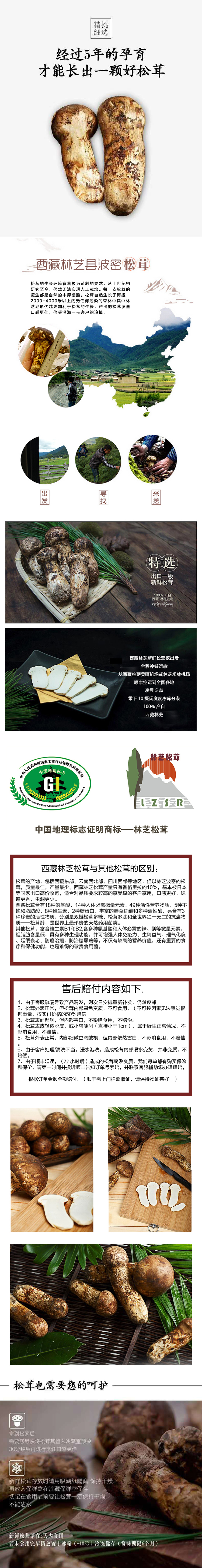 松茸长图.jpg